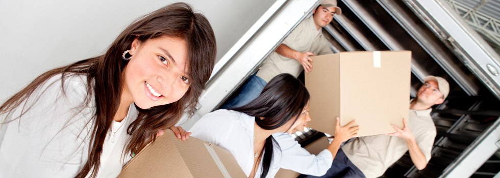 Professional Removalists Maryland NSW